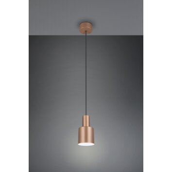 Trio verlichting Agudo Hanglamp Bruin, 1-licht