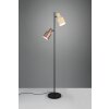 Trio verlichting Agudo Staande lamp Kleurrijk, 2-lichts