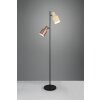 Trio verlichting Agudo Staande lamp Kleurrijk, 2-lichts