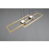 Trio verlichting ALBANY Hanglamp LED Zwart-Goud, 1-licht, Afstandsbediening