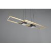 Trio verlichting ALBANY Hanglamp LED Zwart-Goud, 1-licht, Afstandsbediening