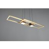 Trio verlichting ALBANY Hanglamp LED Zwart-Goud, 1-licht, Afstandsbediening