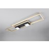 Trio verlichting ALBANY Plafondlamp LED Zwart-Goud, 1-licht, Afstandsbediening