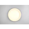 Reality Aleta Plafondlamp LED Wit, 1-licht, Afstandsbediening