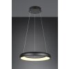 Trio verlichting Cardona Hanglamp LED Zwart, 1-licht