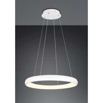 Trio verlichting Cardona Hanglamp LED Wit, 1-licht