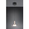 Trio verlichting Celeste Hanglamp LED Zwart, 1-licht