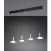 Trio verlichting Celeste Hanglamp LED Zwart, 1-licht