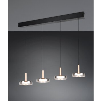 Trio verlichting Celeste Hanglamp LED Zwart, 1-licht