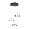 Trio verlichting Celeste Hanglamp LED Zwart, 1-licht