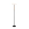 Trio verlichting Celeste Staande lamp LED Zwart, 1-licht