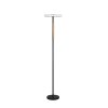 Trio verlichting Celeste Staande lamp LED Zwart, 1-licht