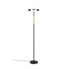 Trio verlichting Celeste Staande lamp LED Zwart, 1-licht