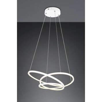 Trio verlichting Darvin Hanglamp LED Wit, 1-licht