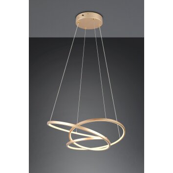 Trio verlichting Darvin Hanglamp LED Goud, 1-licht