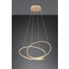 Trio verlichting Darvin Hanglamp LED Goud, 1-licht