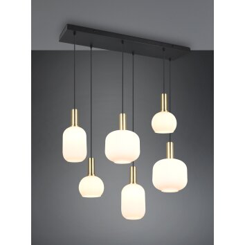 Trio verlichting Diva Hanglamp Messing, 6-lichts