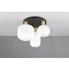 Trio verlichting Diva Plafondlamp Messing, 3-lichts