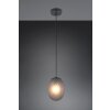 Trio verlichting Facette Hanglamp Zwart, 1-licht