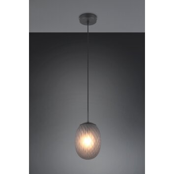 Trio verlichting Facette Hanglamp Zwart, 1-licht