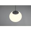 Trio verlichting Fomento Hanglamp Zwart, 1-licht