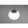 Trio verlichting Fomento Hanglamp Zwart, 1-licht