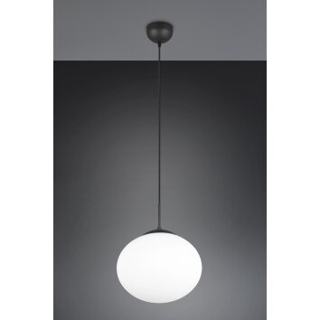 Trio verlichting Fomento Hanglamp Zwart, 1-licht