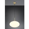 Trio verlichting Fomento Hanglamp Messing, 1-licht