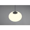 Trio verlichting Fomento Hanglamp Zwart, 1-licht