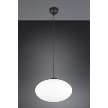 Trio verlichting Fomento Hanglamp Zwart, 1-licht