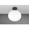 Trio verlichting Fomento Plafondlamp Zwart, 1-licht