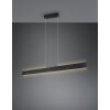 Trio verlichting Galway Hanglamp LED Zwart, 1-licht