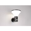 Reality Gorda Wandlamp LED Zwart, 1-licht, Bewegingsmelder