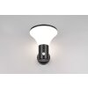 Reality Gorda Wandlamp LED Zwart, 1-licht, Bewegingsmelder