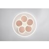 Trio verlichting Mandala Plafondlamp LED Grijs, 1-licht, Afstandsbediening