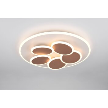 Trio verlichting Mandala Plafondlamp LED Grijs, 1-licht, Afstandsbediening