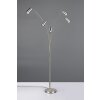 Trio verlichting Marley Staande lamp Nikkel mat, 5-lichts