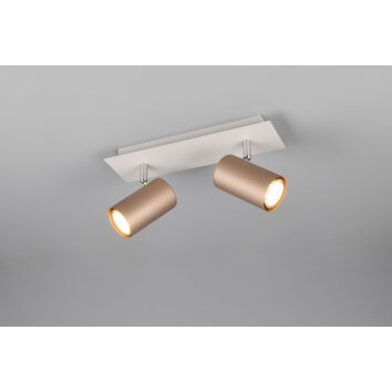 Trio verlichting Marley Plafondspot Bruin, 2-lichts