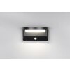 Reality Moro Wandlamp LED Zwart, 1-licht, Bewegingsmelder