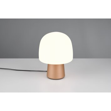 Paddestoel lamp  Trio verlichting Steen Tafellamp Bruin, 1-licht