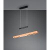 Trio verlichting Trajan Hanglamp LED Zwart, 1-licht