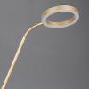 Trio verlichting Willis Staande lamp LED Goud, 2-lichts