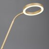 Trio verlichting Willis Staande lamp LED Goud, 2-lichts