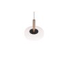 Trio verlichting Celeste Hanglamp LED Bruin, 1-licht