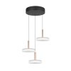 Trio verlichting Celeste Hanglamp LED Bruin, 1-licht