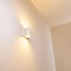 Pailly Buiten muurverlichting LED Wit, 2-lichts