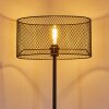 Conewago Staande lamp Zwart, 1-licht