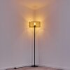 Conewago Staande lamp Zwart, 1-licht