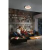 Ledvance SUNATHOME Wand- en plafondlamp LED Zilver, 1-licht