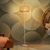 Ledvance DECOR Wand- en plafondlamp Beige, 1-licht